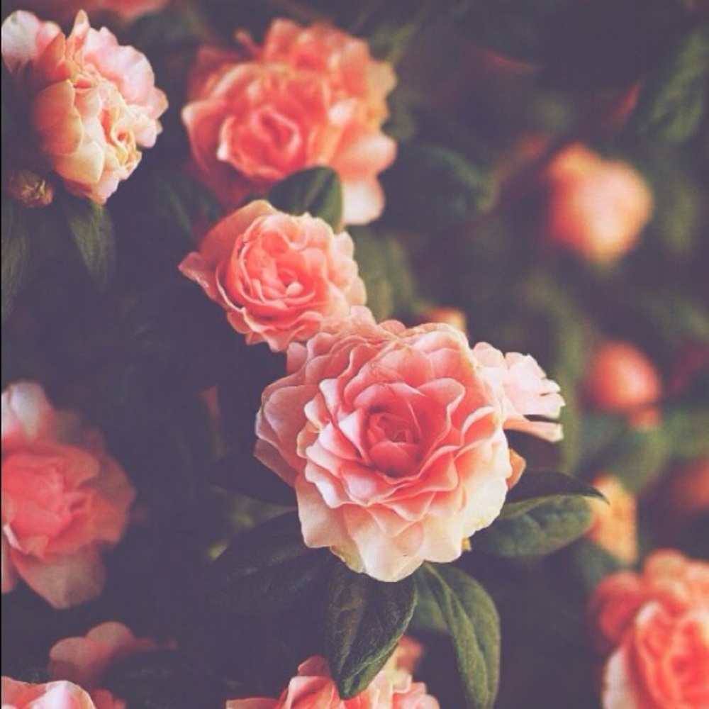 W•E•L•C•O•M•E